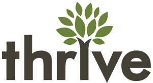 THRIVE INTERNET MARKETING