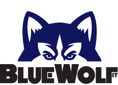 BLUEWOLF is a top IT company 