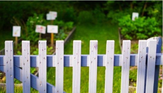 Smart Tips for Choosing a Fence