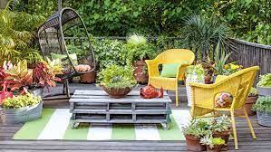 How to make a small garden in your home