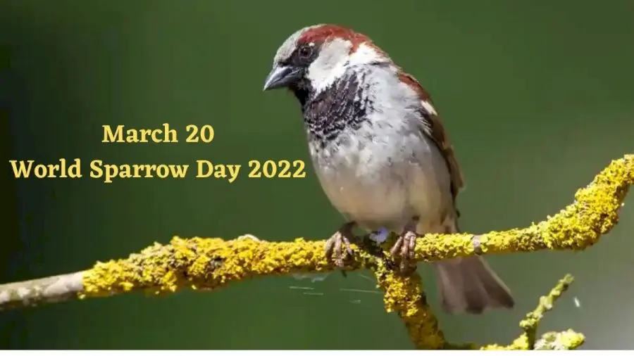 World Sparrow Day 2022: snapshot of a plaque honoring sparrows shared by IFS officer