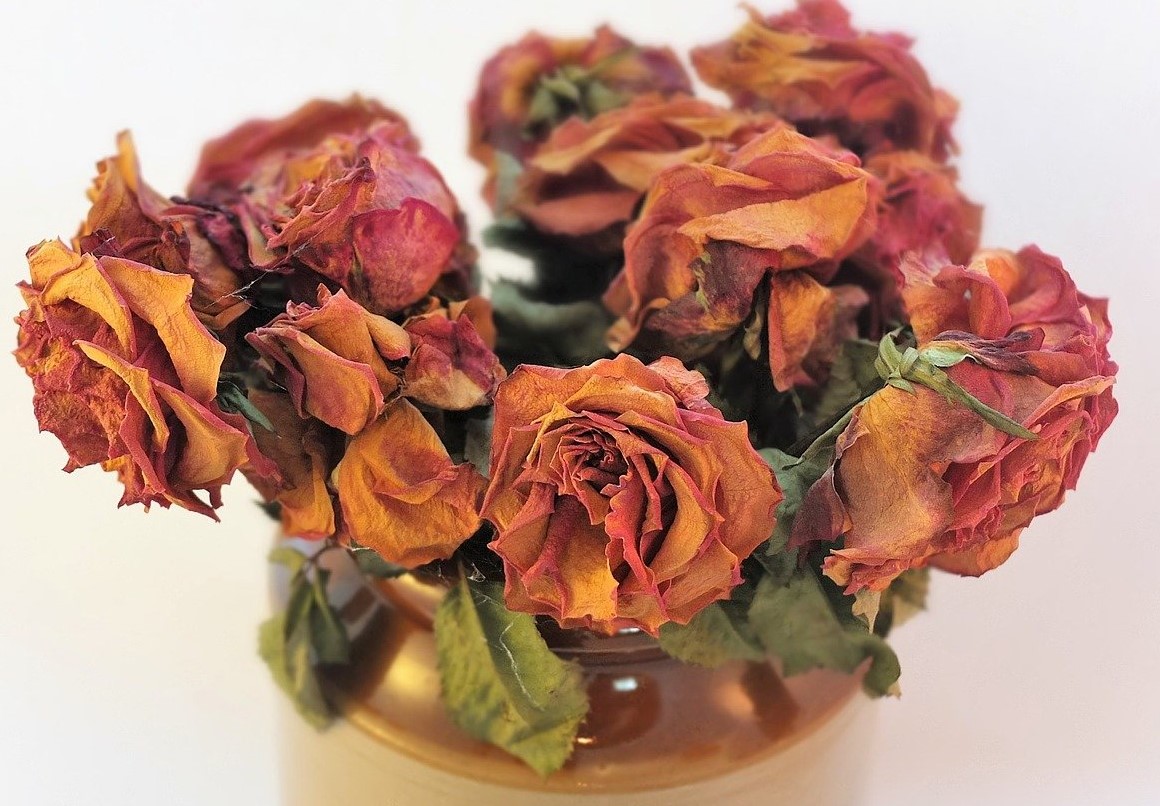 6 Reasons Why You Should Opt For Preserved Roses