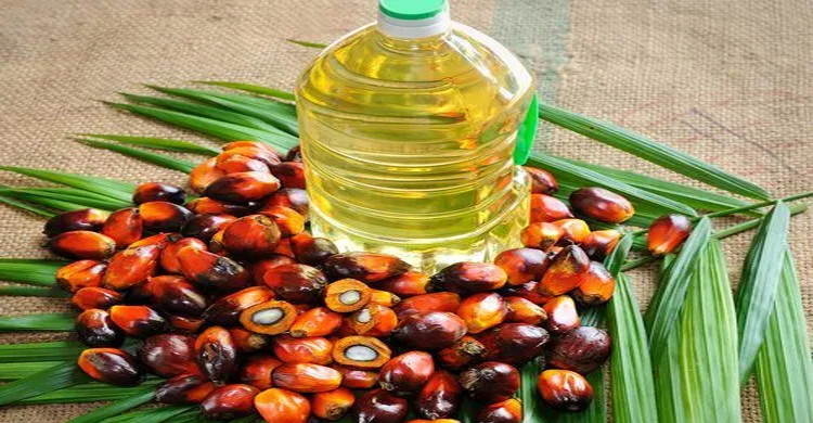 Indonesia announces ban on palm oil exports
