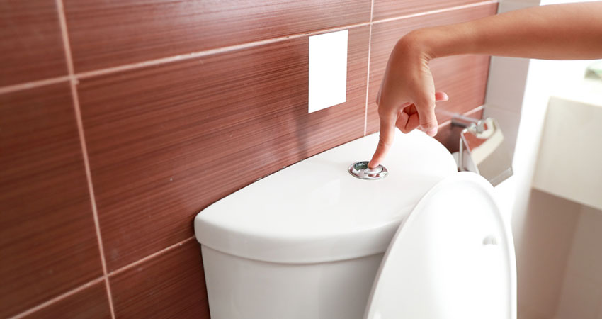 Toilet Flush Suppliers