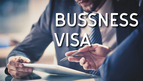 business visa consultant 500x500 1
