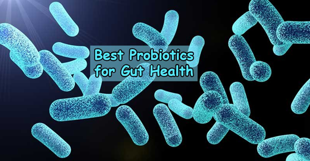 Best Probiotic Supplements of 2022 for A Healthy Gut