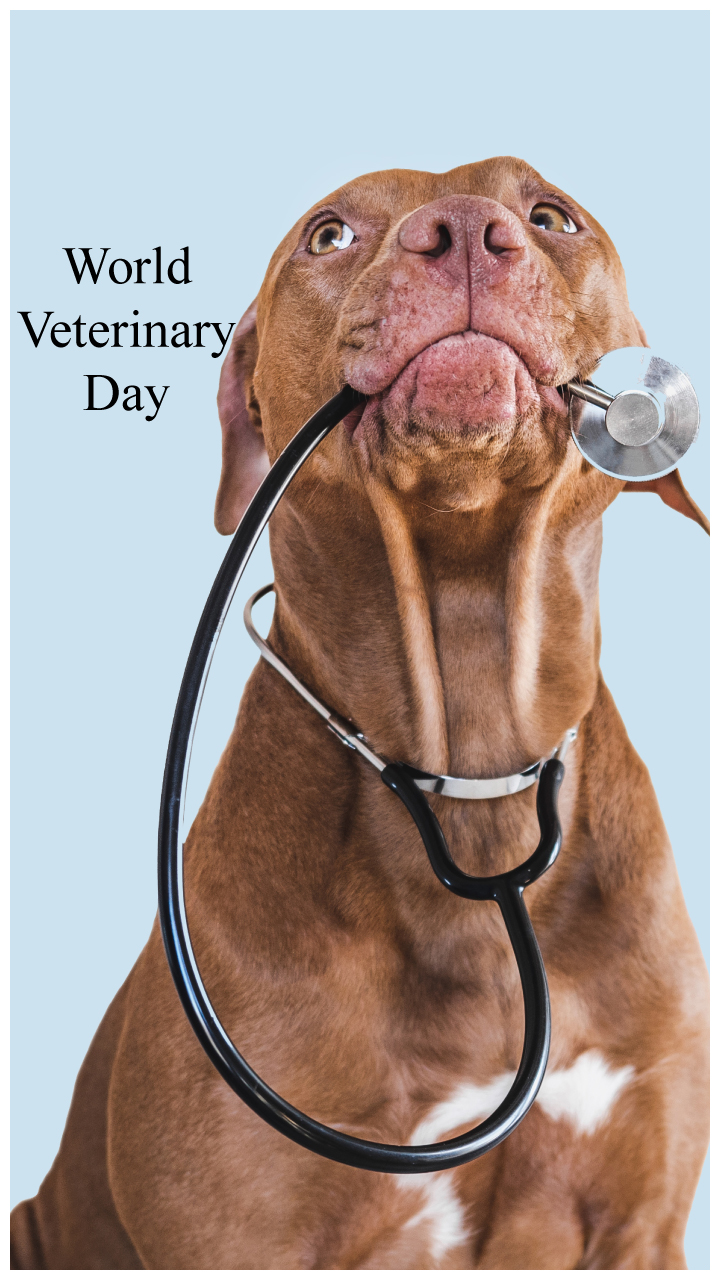 World Veterinary Day 2022