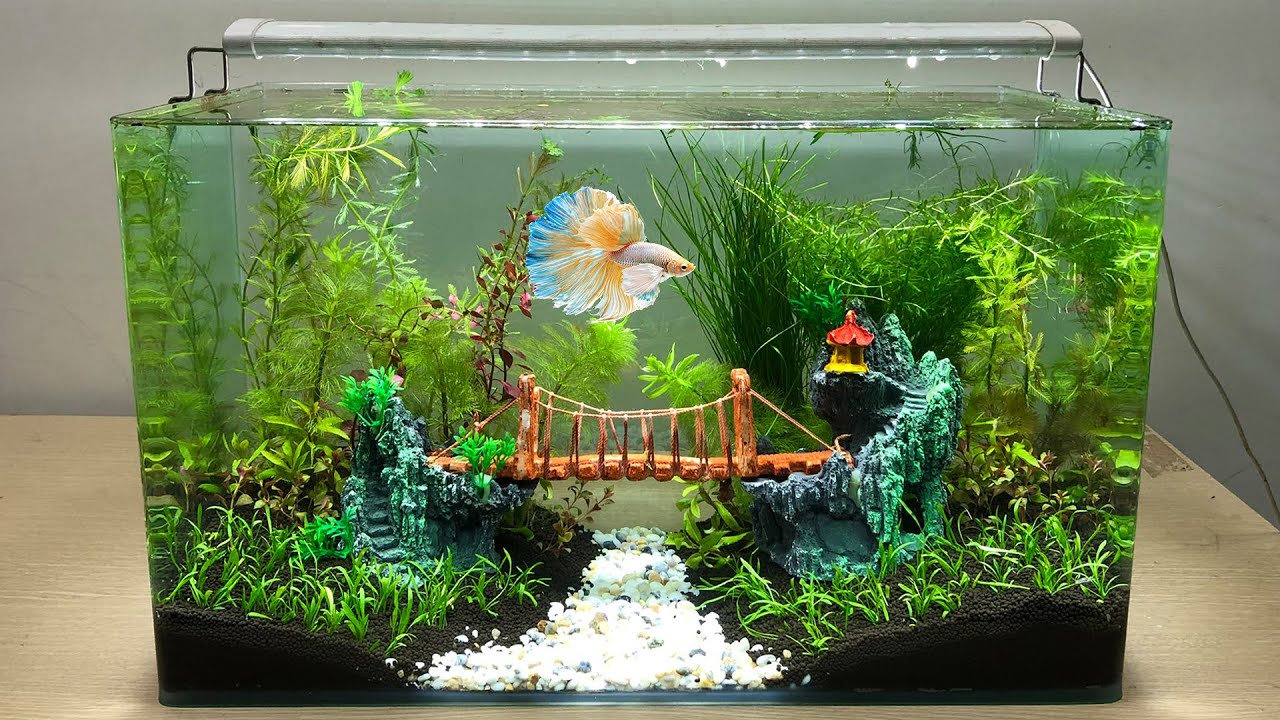 Get Ingenious Fish Tank Decorations ideas at home