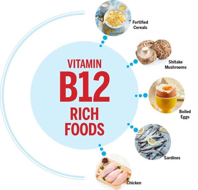 Importance of Vitamin B12