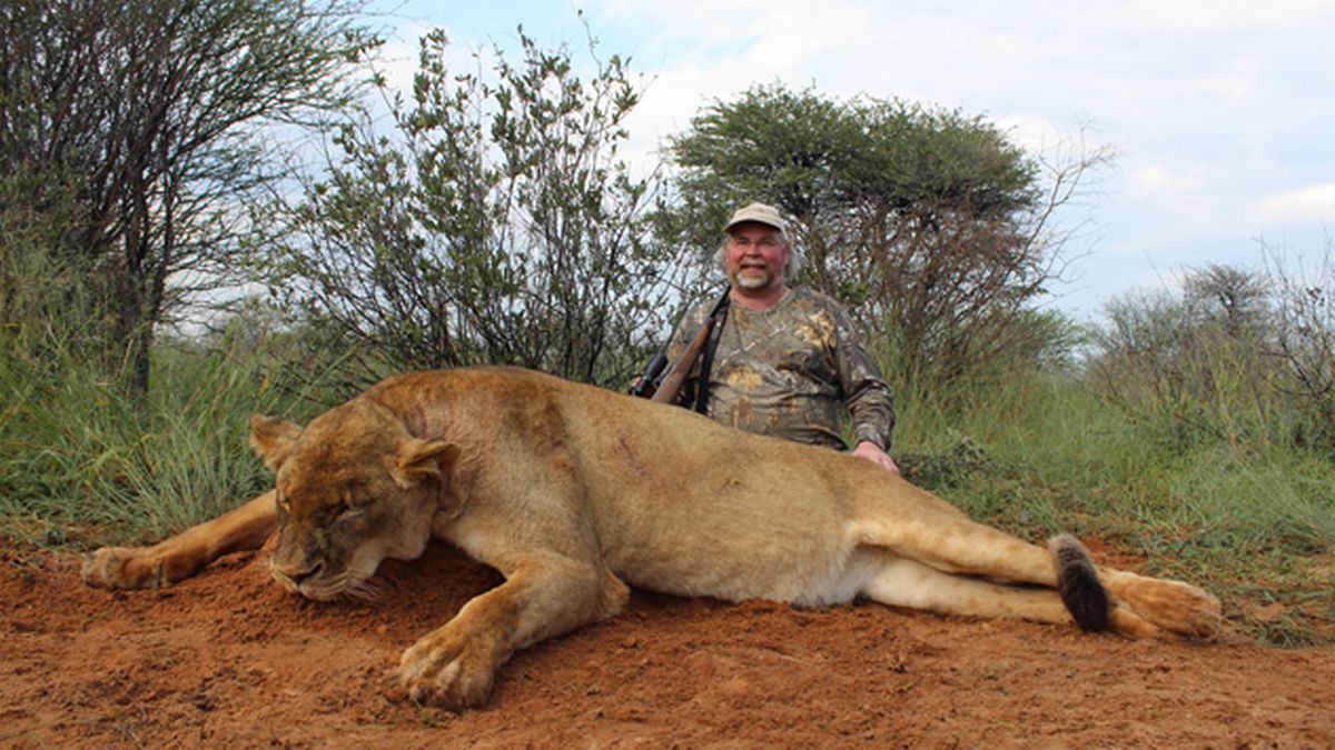 Queen's Speech: Crackdown on sick trophy hunting imports missing from law plans