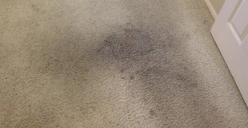 Carpet Cleanig