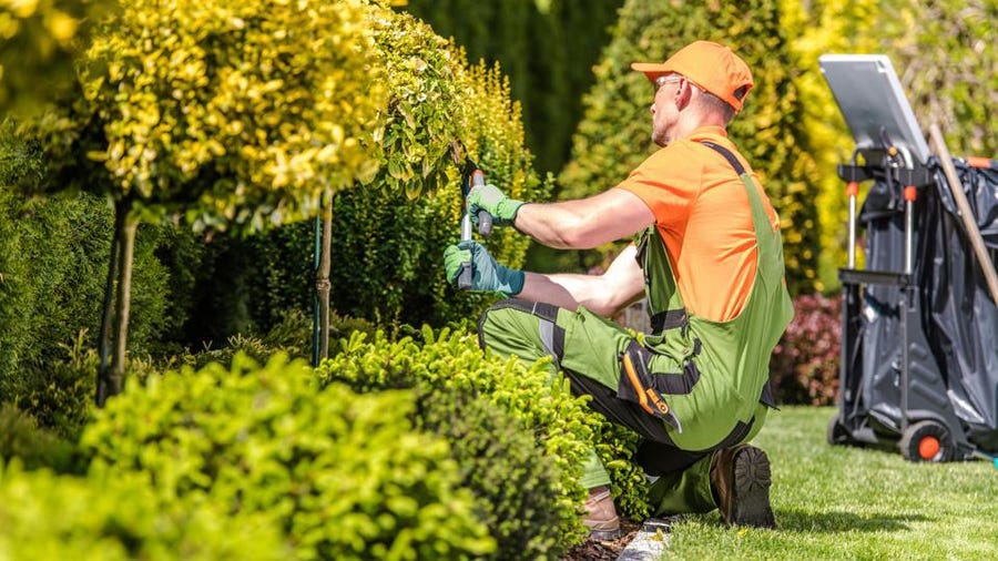 Find The Best Landscapers