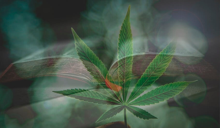 Best Cannabis Grow Book
