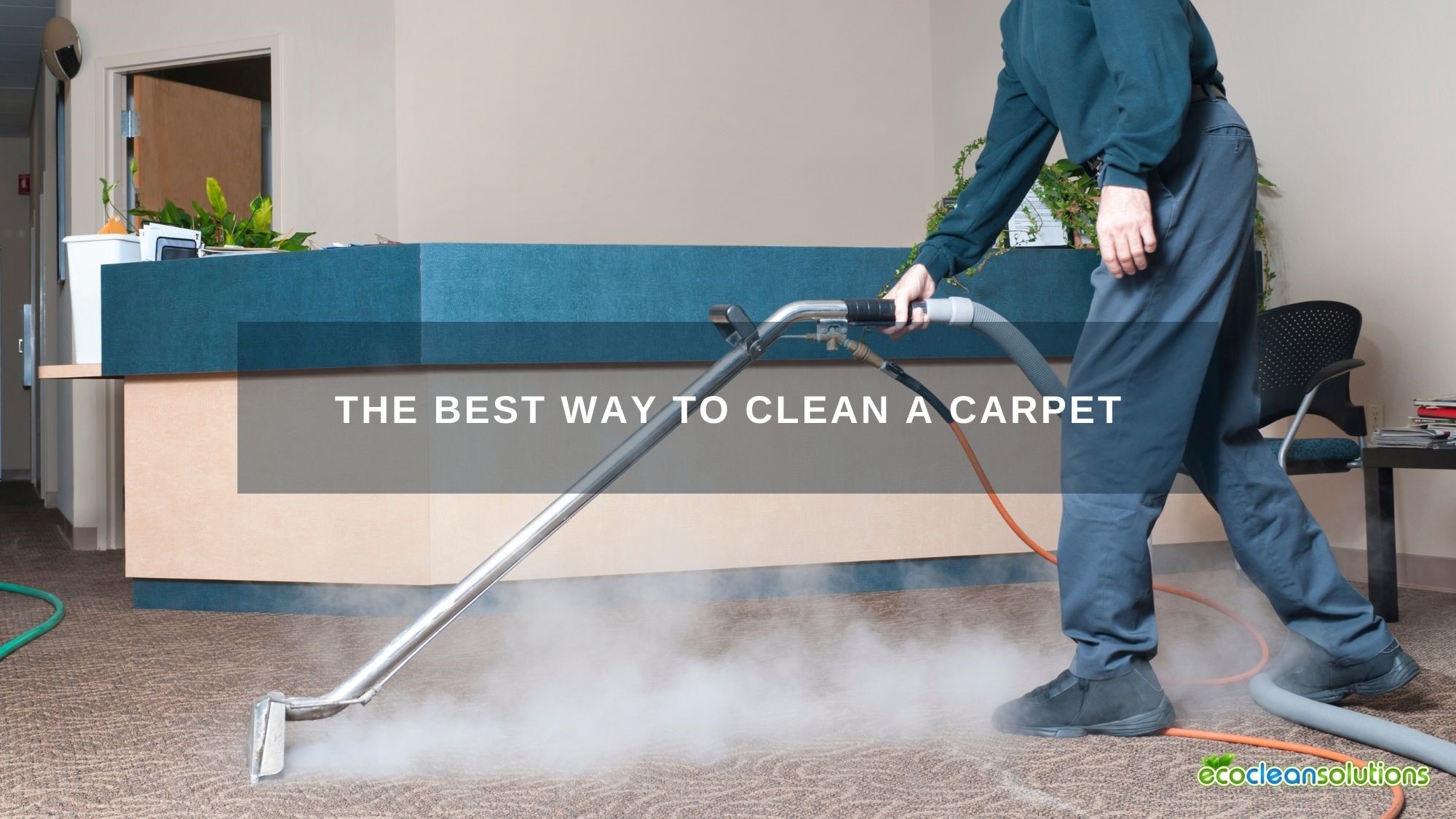 The Best Way to Clean a Carpet