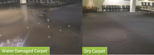 Water Damaged Carpet repair