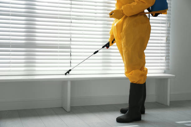 complete pest control services in New York