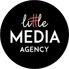 Little Media Agency is a committed social media marketing and the board firm