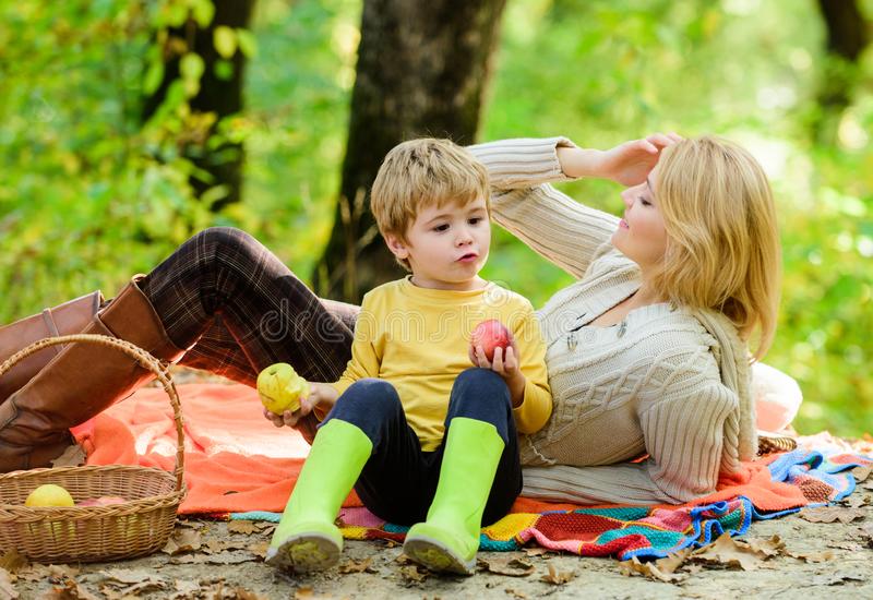 family picnic mother pretty woman little son relaxing forest good day spring nature having snack hike happy 146289950