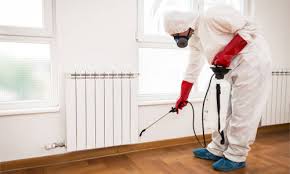 Why Your Business Needs Pest Control Services