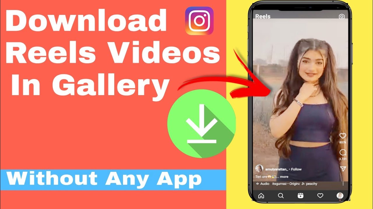 How to Download Instagram Reels in Gallery