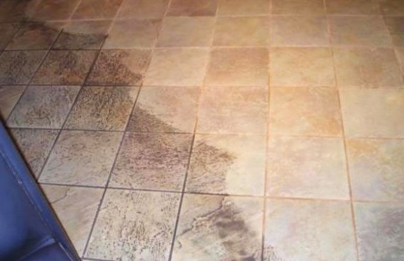 7 Advantages Of Expert Tile Cleaning - Scoopearth.com