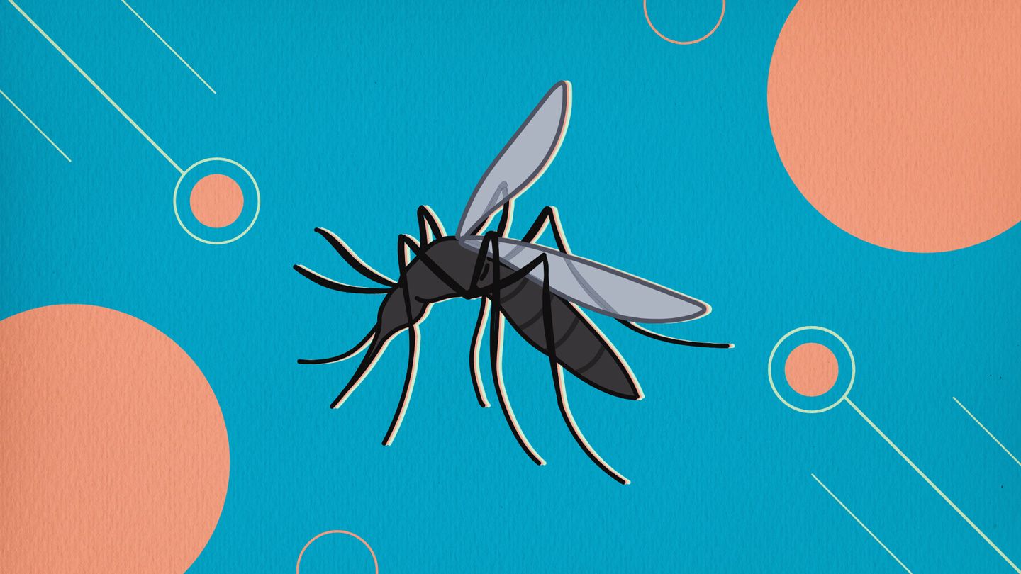 West Nile Virus claims life of a 47 year old man in Kerala
