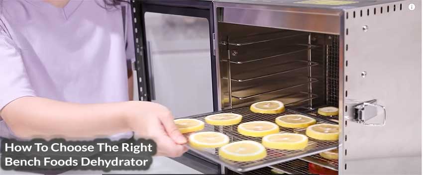 How To Choose The Right Bench Foods Dehydrator