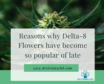 Reasons why Delta 8 Flowers have become so popular of late 1
