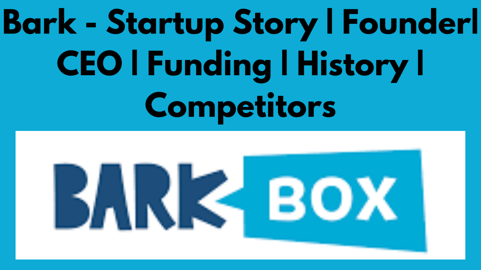 Bark Startup Story