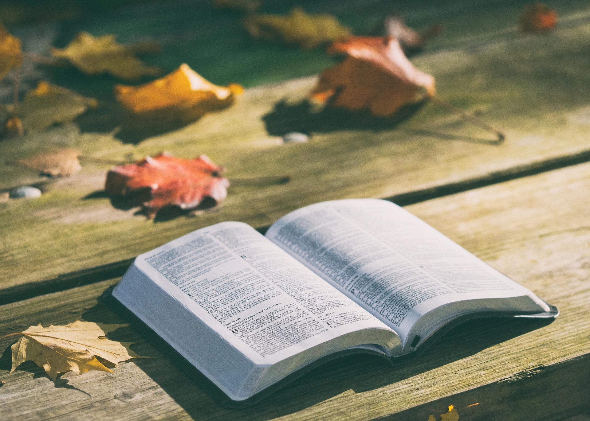 Which Bible do Non-Denominational Churches Use?