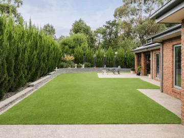 Best Turf Solution for Residential and Commercial Properties at Sir Walter Turf Price