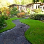 Expert Tips for Eye-Catching Front Yard Landscaping