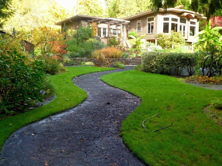 Expert Tips for Eye-Catching Front Yard Landscaping