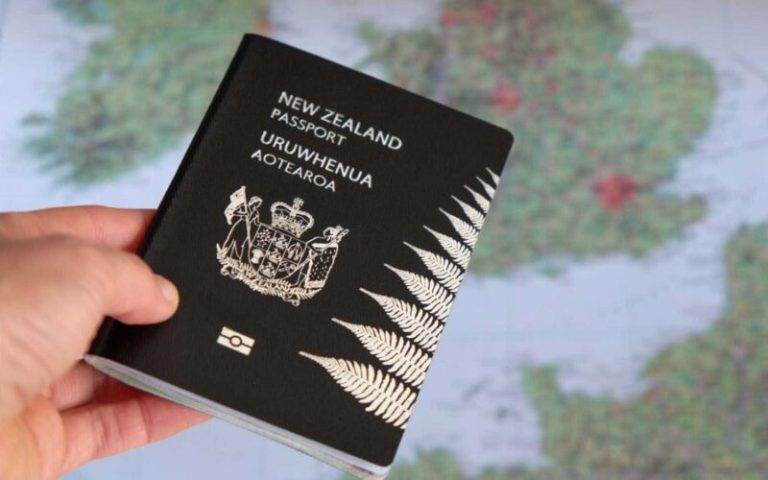 Applying for a New Zealand student visa A problem for many international students 800x500 1