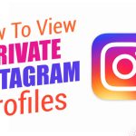 private ig viewer