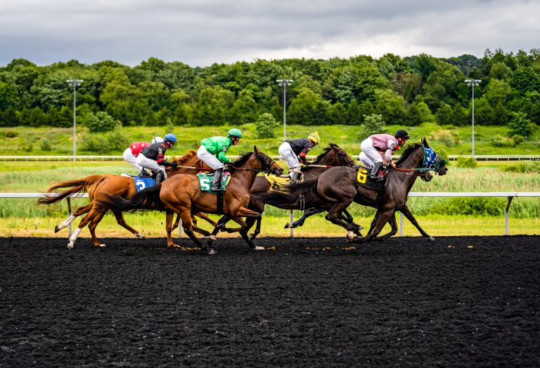 A Beginner's Guide to Horse Race Betting