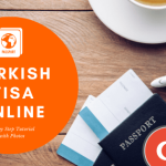 turkish visa online 1