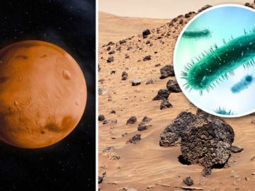 Ancient microbes may still exist beneath the Martian surface