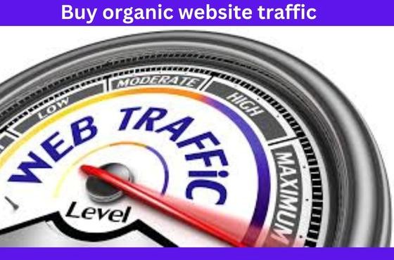 How to Get Started with Website Traffic Services