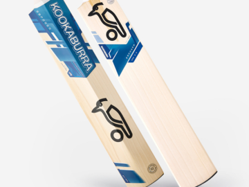 How Can You Take Care of the Cricket Bat- A beginner's guide