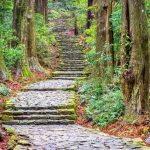 kumano kodo trail sacred trail nachi wakayama japan 720143 1730