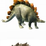 Tyceratops – OnlyFans User