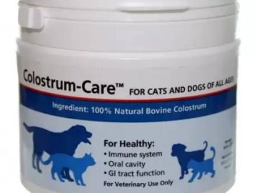Colostrum for cats