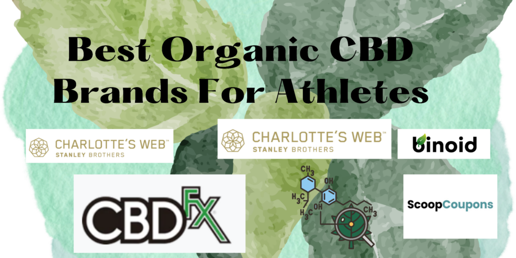 Best Organic CBD Brands