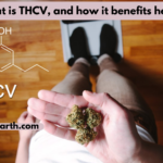 What is THCV, and how it benefits health