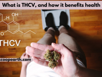What is THCV, and how it benefits health