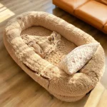 Embrace Comfort: Why You Should Make the Investment in a Human Dog Bed