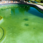 What is the best pool vacuum for algae
