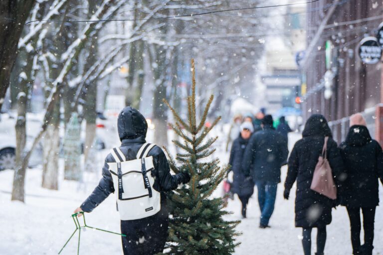 4 US Cities You Should Visit During the Winter Holidays