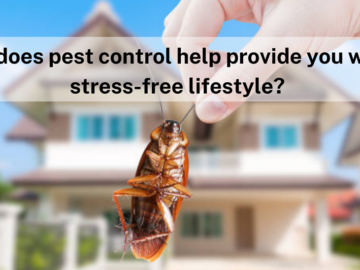 How does pest control help provide you with a stress-free lifestyle?